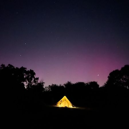 Bell Tent 4M And 7M Fossewold Cotswold Camping Moreton-in-Marsh Bagian luar foto